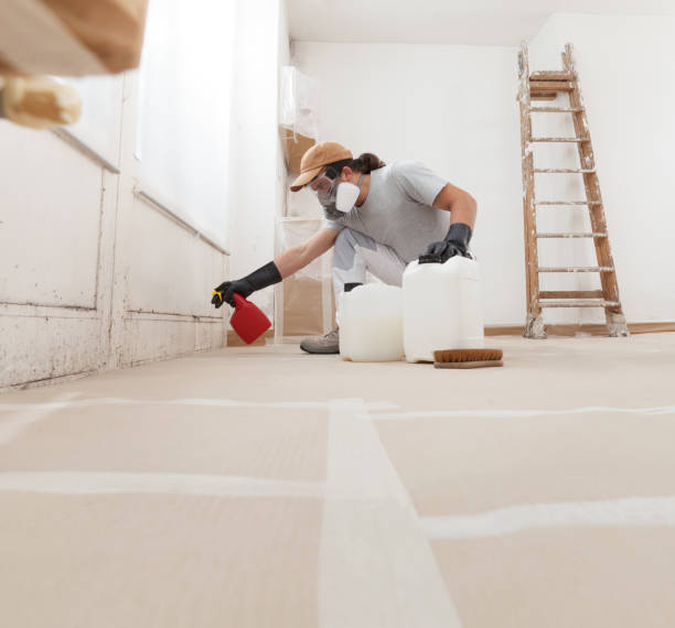 Trusted Rockledge, FL Mold Removal Experts